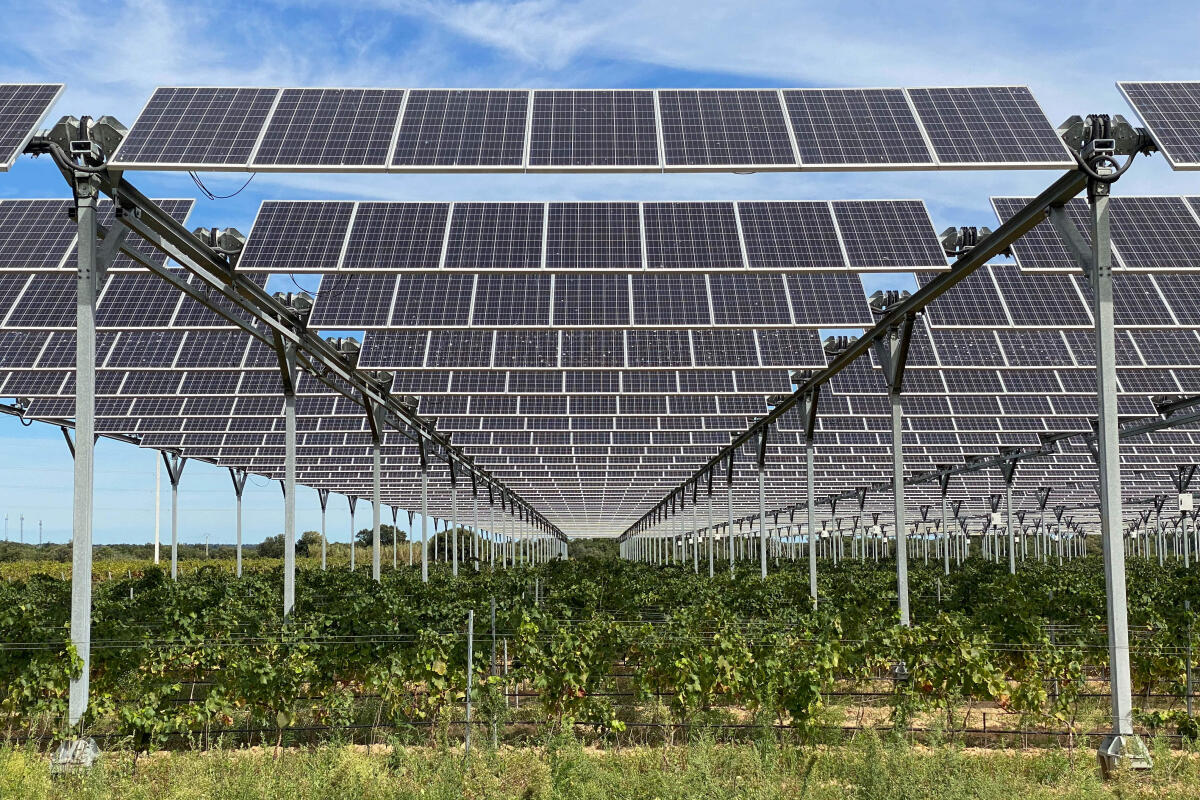 Sustainability & operations